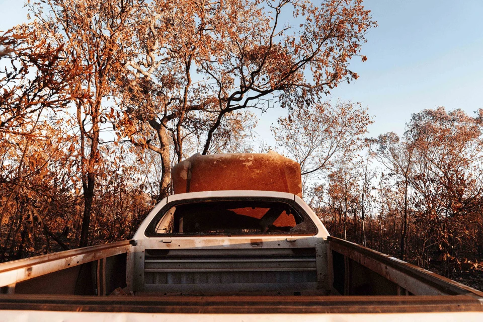 Rear view of a damaged white pickup truck with a red container in its bed, surrounded by dead trees in a desolate outdoor setting.