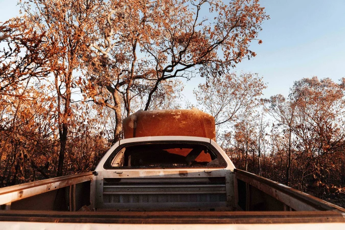 Rear view of a damaged white pickup truck with a red container in its bed, surrounded by dead trees in a desolate outdoor setting.