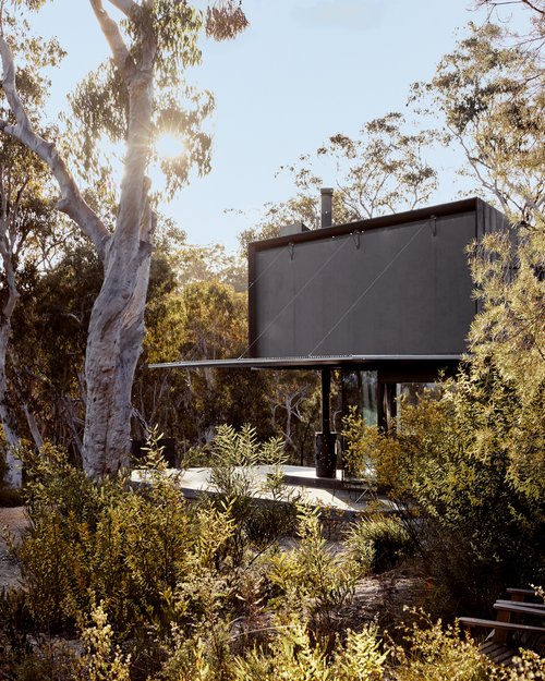 Modern black house in a forest setting with sunlight filtering through the trees, emphasizing architectural design and natural surroundings.
