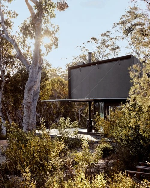 Modern black house in a forest setting with sunlight filtering through the trees, emphasizing architectural design and natural surroundings.