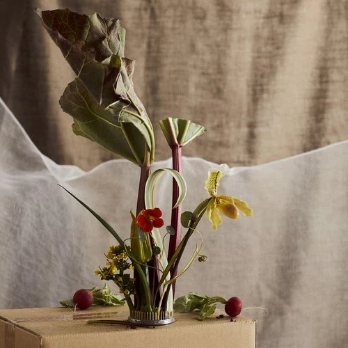 Botanical still life featuring rhubarb, orchids, and small red radishes arranged in a metal flower frog on a cardboard box.