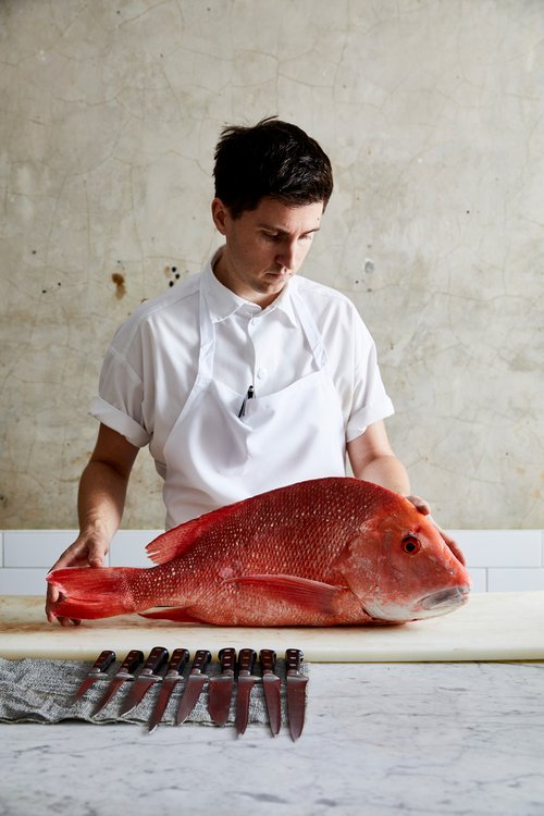 Chef in a white apron and shirt holds a large raw red snapper fish on a white table with a set of knives in front of a concrete wall.