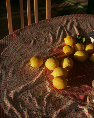 A table covered with a patterned cloth features a collection of bright yellow lemons basking in warm sunlight, suggesting a Mediterranean harvest.