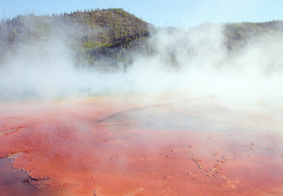 Grand Prismatic Spring in Yellowstone National Park featuring steaming water, mineral deposits, and a distant forested hillside.