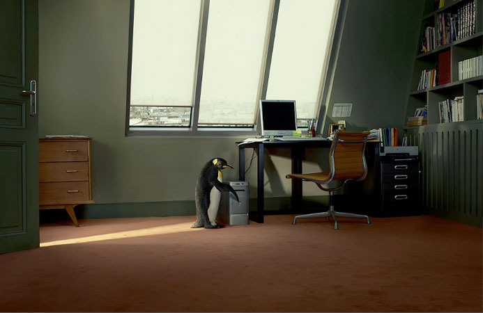 A lone penguin stands in an office next to a computer tower under a window, creating a surreal and humorous office scene.