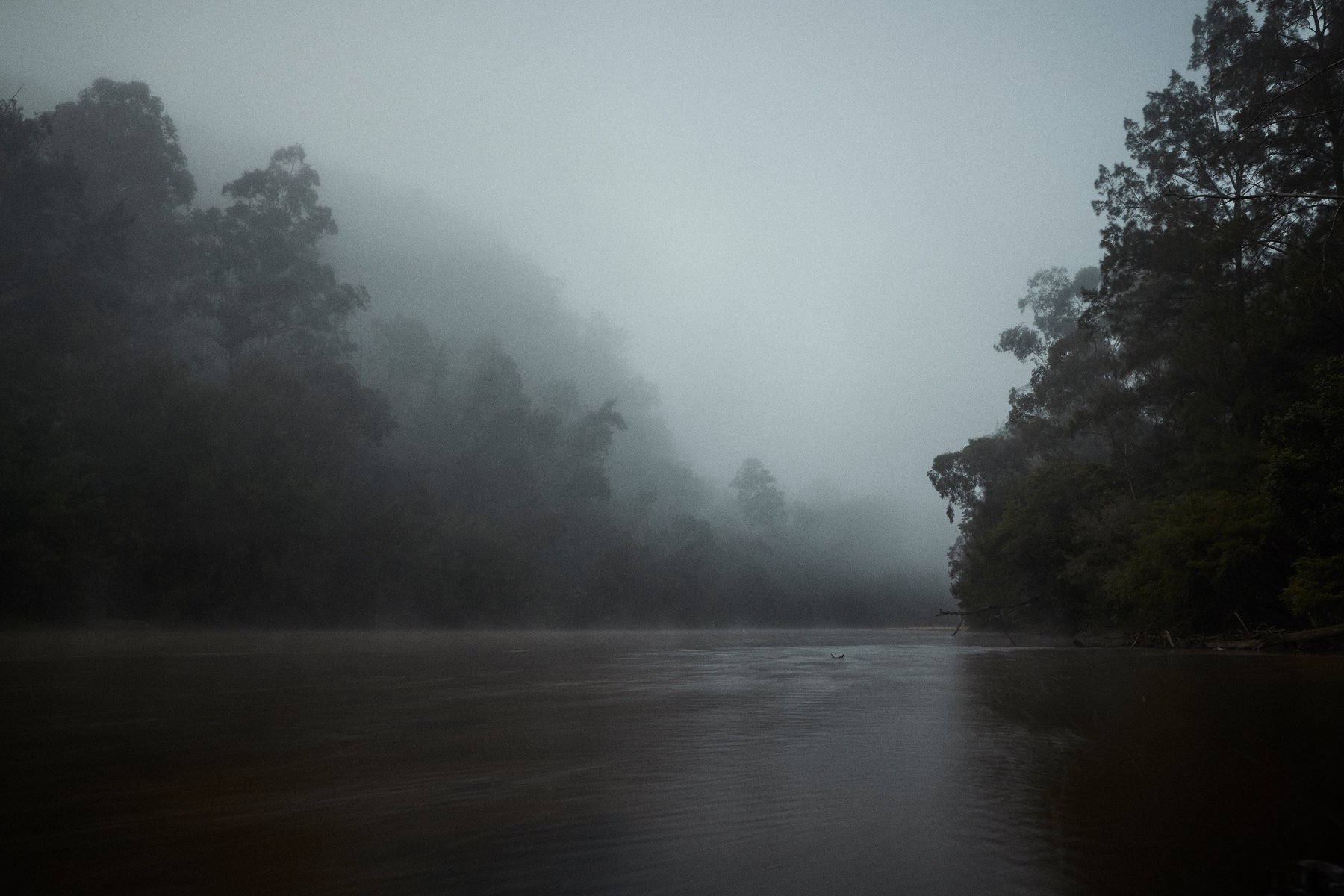 Misty landscape of a forest and river, enveloped in a thick fog, creating a serene and mysterious natural scene, with trees lining the riverbanks.