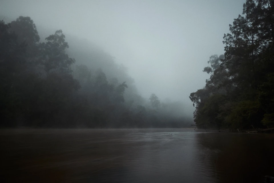 Toby Burrows