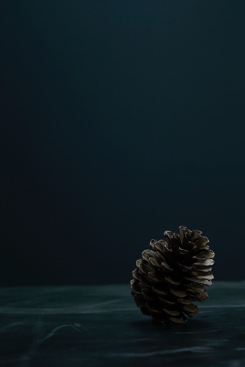 Low angle product shot of a brown pine cone, set against a dark blue background with a textured surface, studio lighting, dramatic.