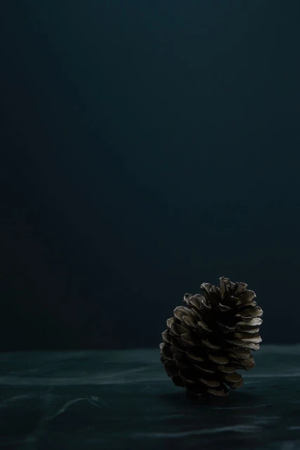 Low angle product shot of a brown pine cone, set against a dark blue background with a textured surface, studio lighting, dramatic.