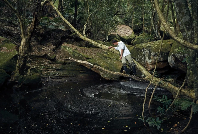Toby Burrows