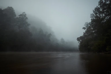 Misty river landscape surrounded by dense foggy forests under an overcast sky, photographed by Toby Burrows.