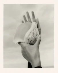 Close-up of hands holding a large conch shell against an overcast sky, captured in monochrome by Kelly Geddes.