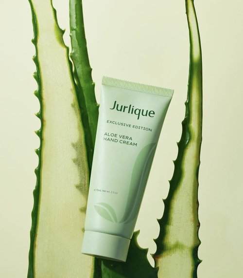 A tube of Jurlique Aloe Vera Hand Cream rests against aloe vera leaves on a light yellow backdrop in a product shot.