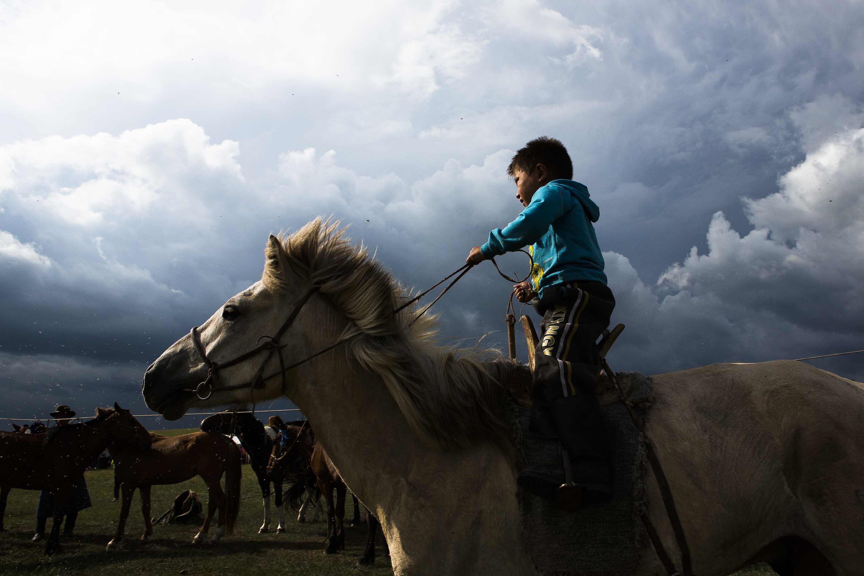 Child rides a horse in a field under a cloudy sky. A young person is on horseback surrounded by a group of horses in a field.