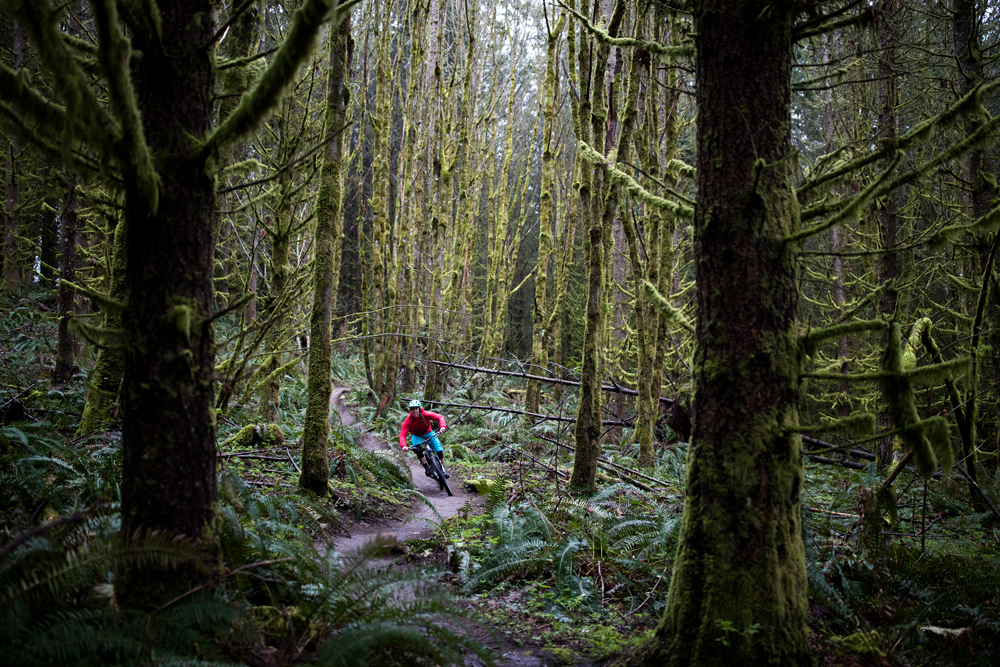 A cyclist rides a mountain bike along a narrow dirt trail winding through a dense forest with moss-covered trees and green foliage.
