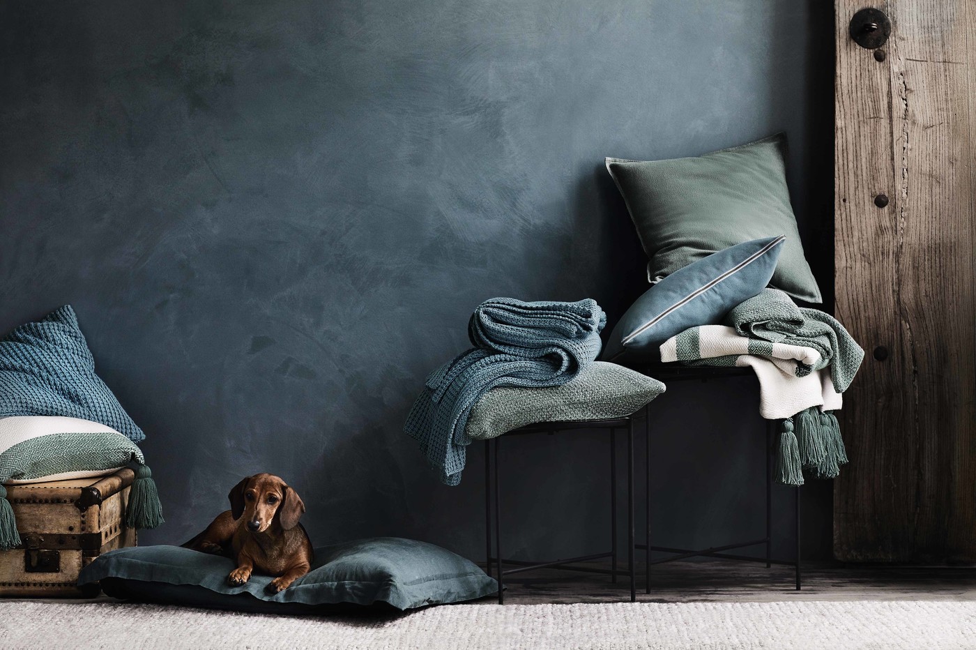A dachshund rests on a pillow next to a trunk, surrounded by stacked pillows and folded blankets in a warm, inviting interior scene.