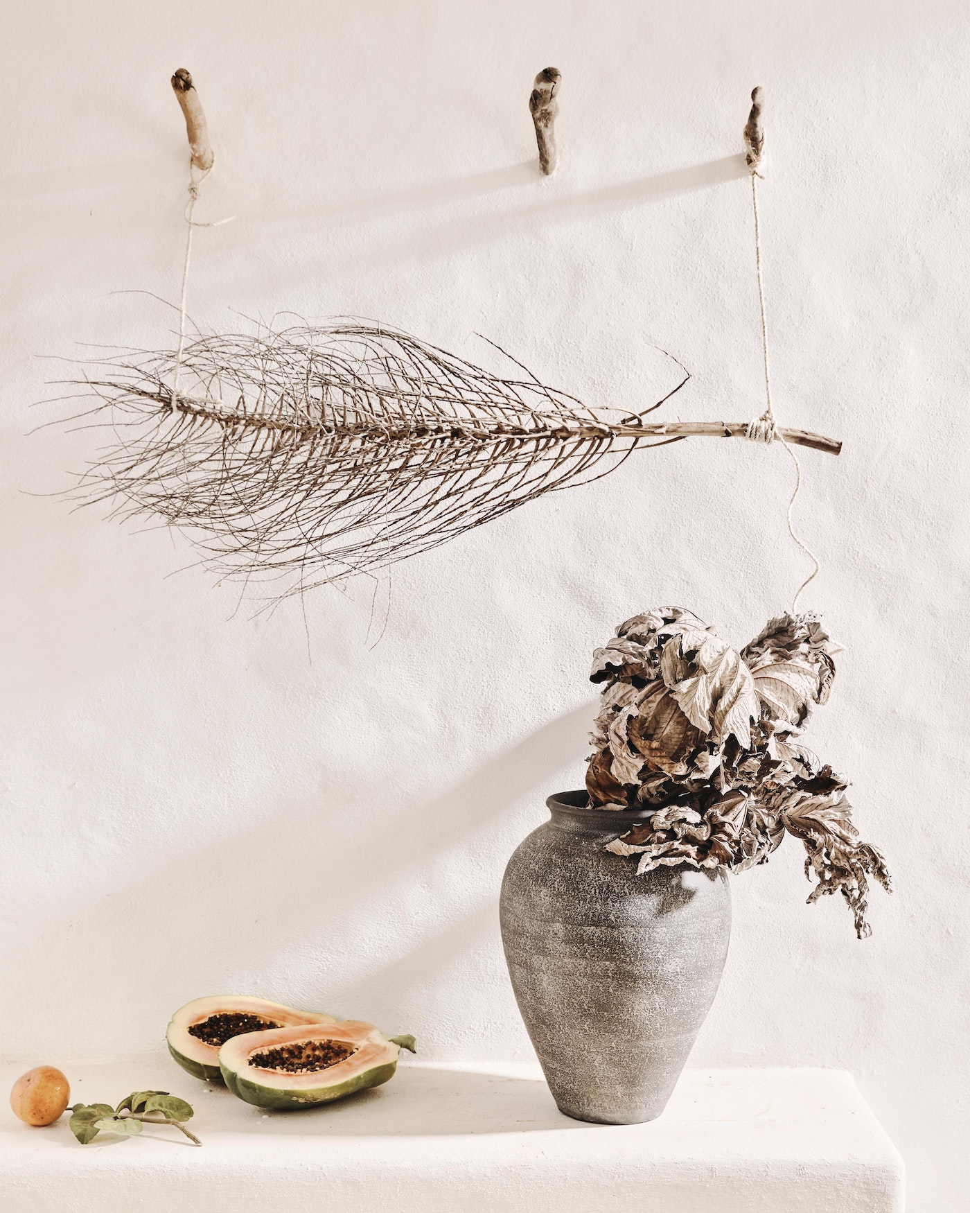 Still life photo featuring papaya halves, dried botanicals in a gray vase, and a frond hanging on a white wall with wooden pegs.