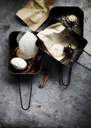 Overhead still life of seashells, sea horses, and old paper notes arranged in metal baking pans on a dark concrete surface.