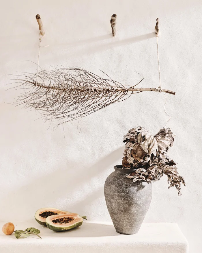 Still life interior styling featuring a textured dark vase, dried botanicals, and halved papayas against a white wall.