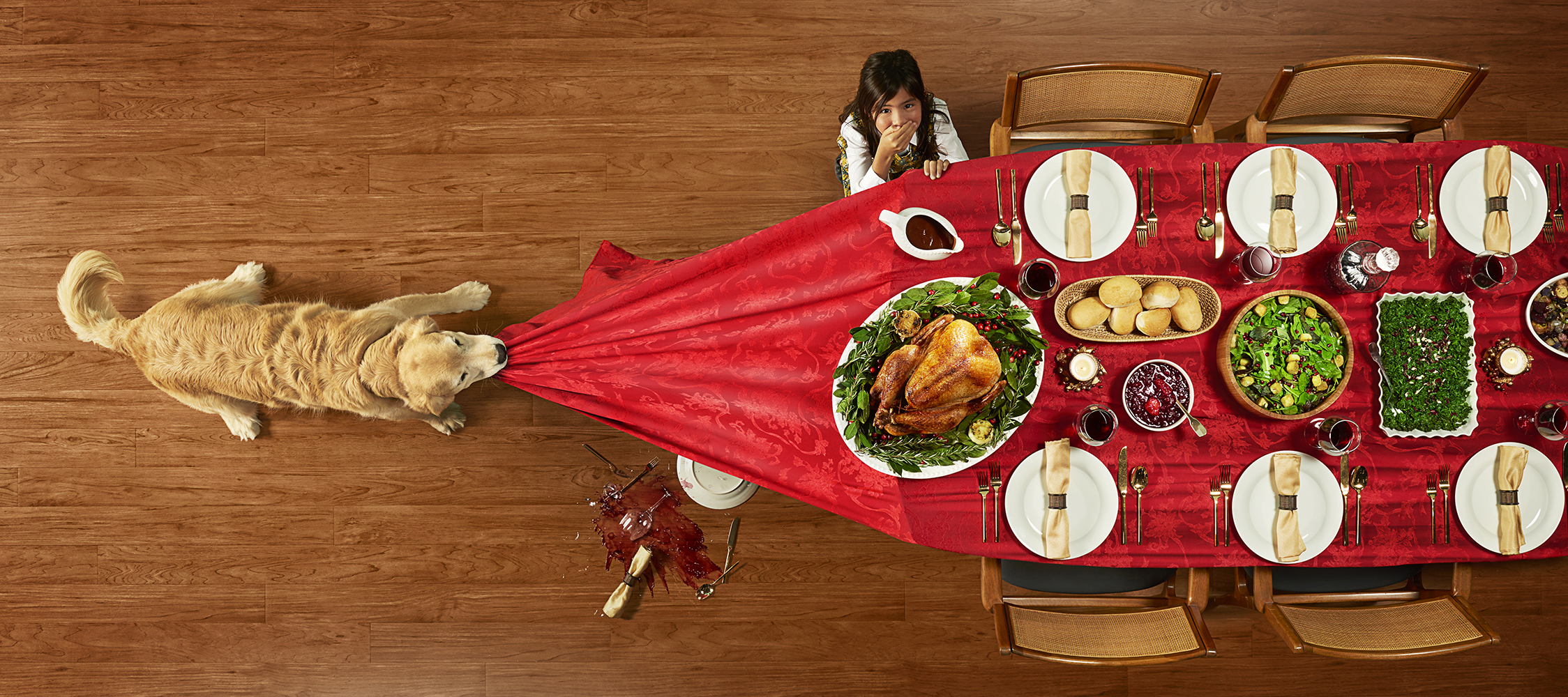 Overhead shot of golden retriever pulling tablecloth, spilling food and drink as a girl looks on at a holiday dinner table.