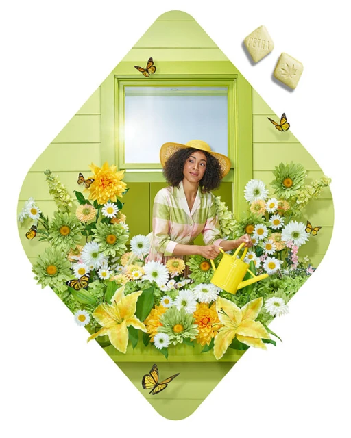 A cheerful woman in a sunhat waters bright flowers in a green window box, framed by a vibrant green diamond shape, with butterflies.
