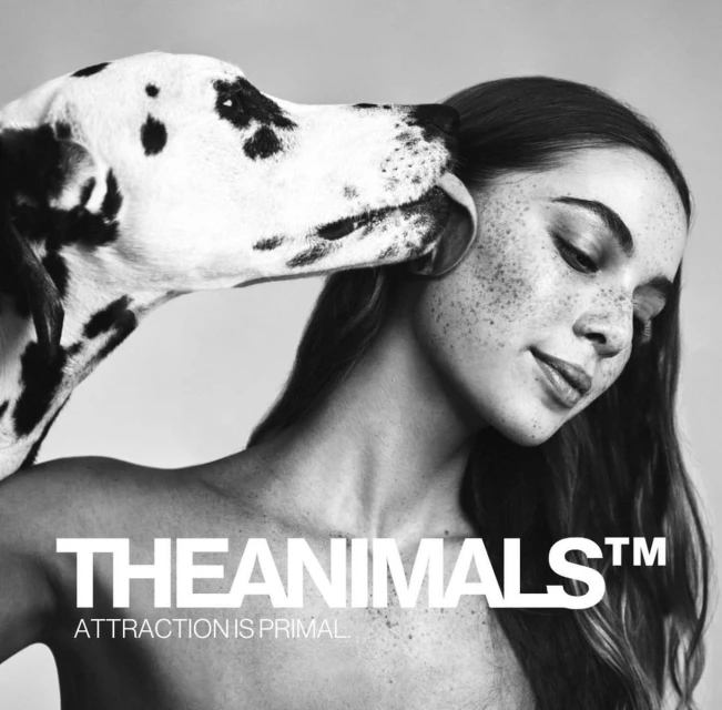 A woman with freckles has a Dalmatian dog licking her ear in a black-and-white portrait. Bold text reads: 'THEANIMALS™ ATTRACTION IS PRIMAL.'