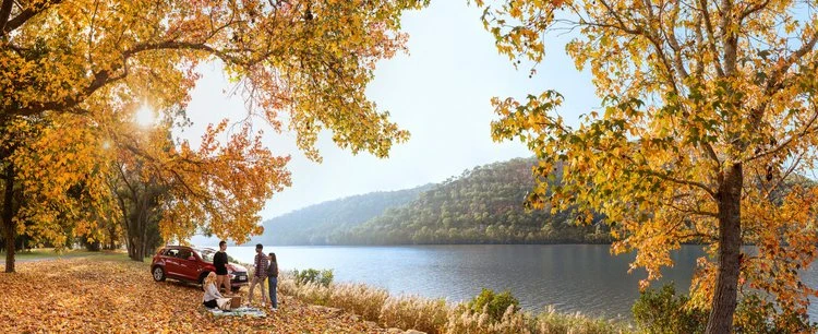 Scenic autumn picnic by a lake with a red car and group of people enjoying the colorful fall foliage and lakeside view.