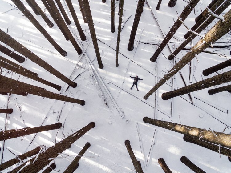 Drone view of a person lying in the snow with arms outstretched surrounded by tall trees in winter, creating a star shape.