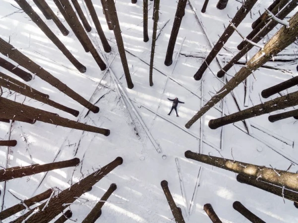 Drone view of a person lying in the snow with arms outstretched surrounded by tall trees in winter, creating a star shape.