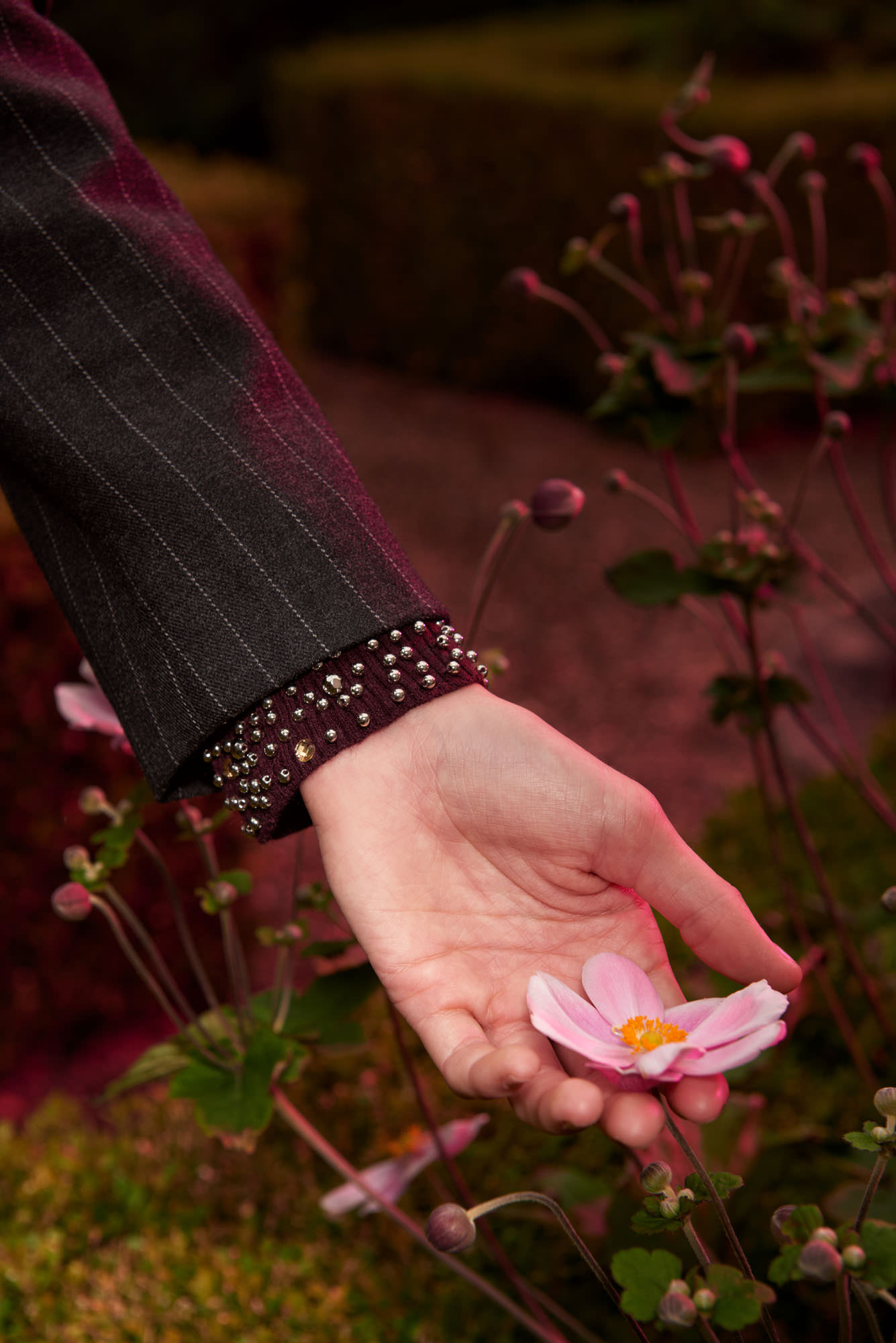 Close-up of a woman's hand gently holding a pink flower outdoors, highlighting the jacket cuff with decorative studs.