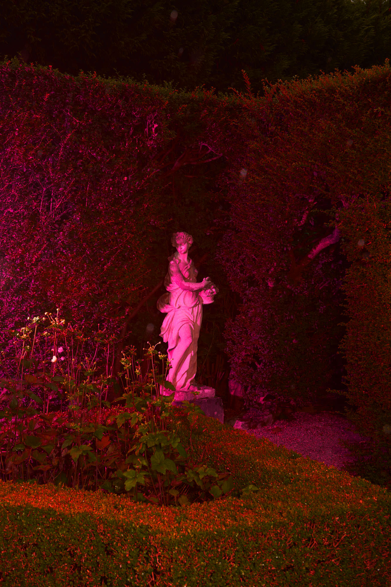Statue of a woman holding a basket stands in a garden with green plants and a sculpted hedge under red and pink lighting.