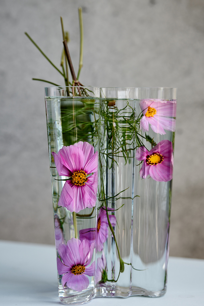 Pink cosmos flowers with green stems arranged in a clear vase with water on a white table against a grey textured background.