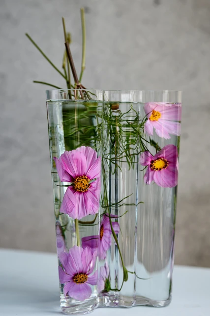 Pink cosmos flowers with green stems arranged in a clear vase with water on a white table against a grey textured background.