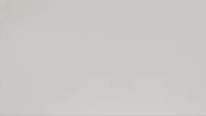 A plain, solid light grey background texture filling the entire frame evenly.