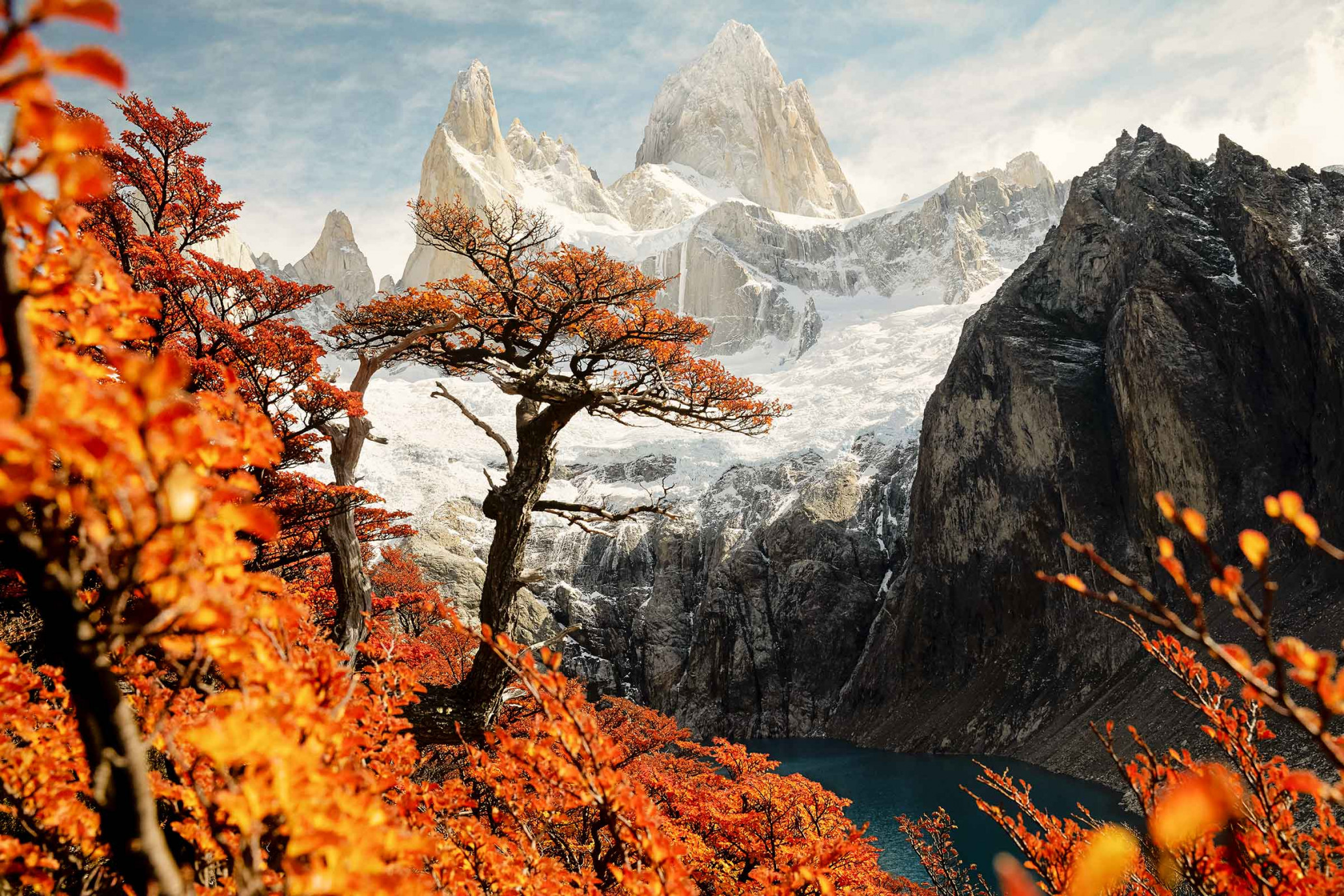 Scenic landscape featuring autumn trees with red leaves and snowy mountains in the background, creating a picturesque nature scene.