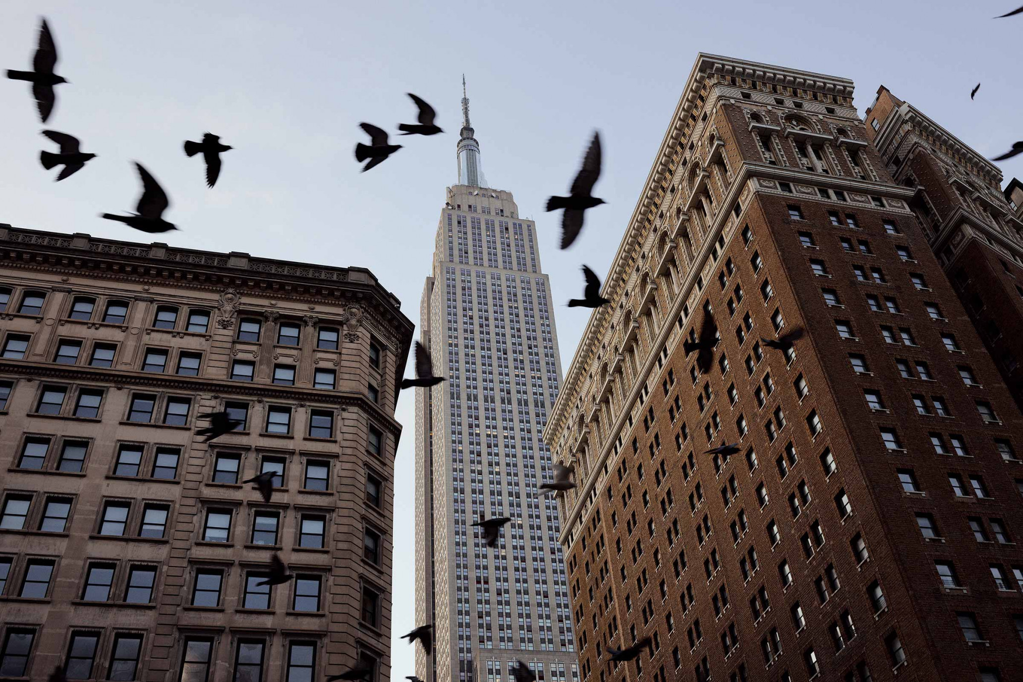Low-angle view of the Empire State Building framed by two older brick buildings, with many birds flying in the open sky.