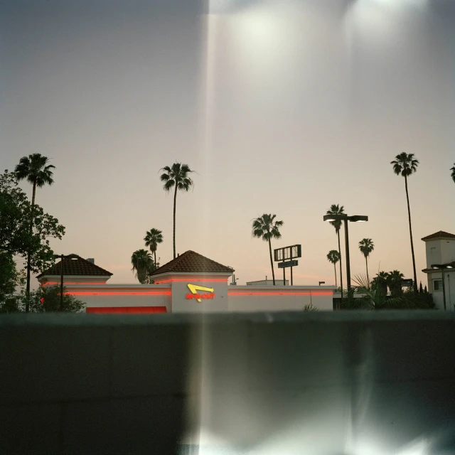 In-N-Out Burger restaurant at dusk with palm trees, captured in a wide, outdoor shot showcasing the building's facade and surrounding landscape.