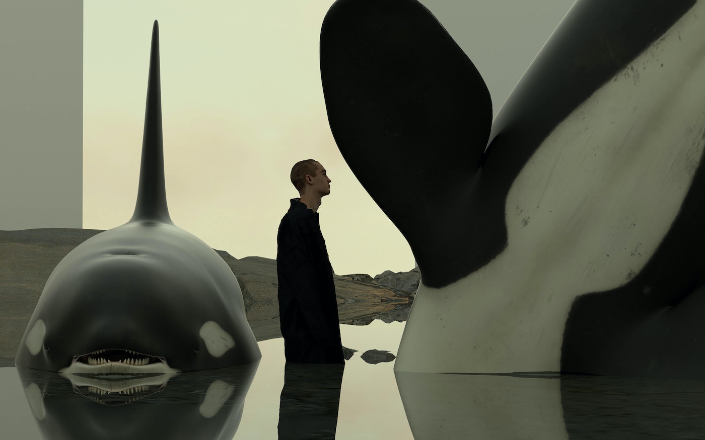 Man in black coat stands between two orcas reflected in still water in an outdoor setting. Orcas are black and white.