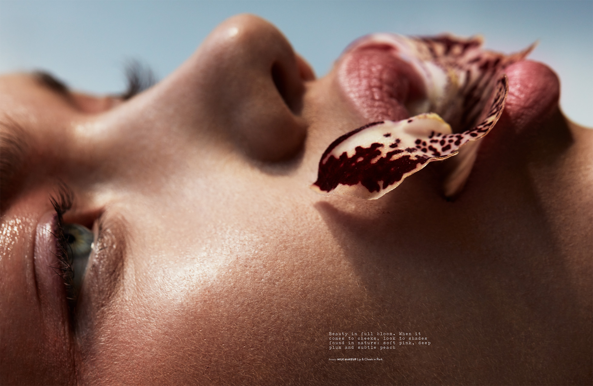 Close-up of a fair-skinned woman's face with an orchid petal on her lips, showcasing a beauty shot with soft lighting and a focus on skin texture.