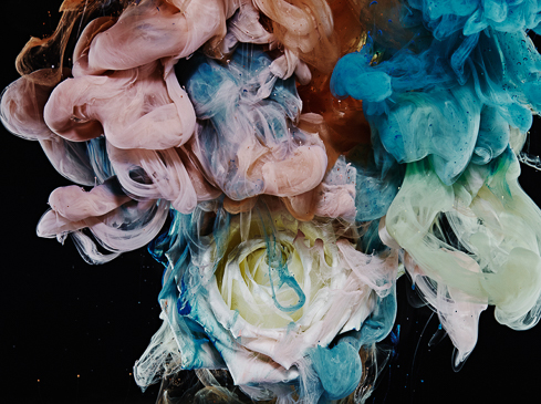 Abstract shot of a white rose enveloped in swirling pink and blue smoke against a black background, creating a dreamy, ethereal effect.