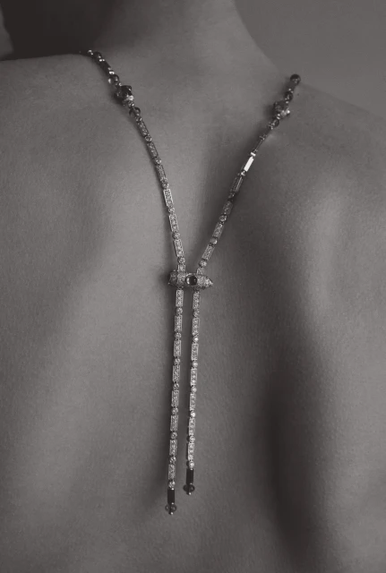 Close-up shot of a bare back adorned with a long, silver-tone necklace featuring geometric details, captured in soft, diffused lighting.