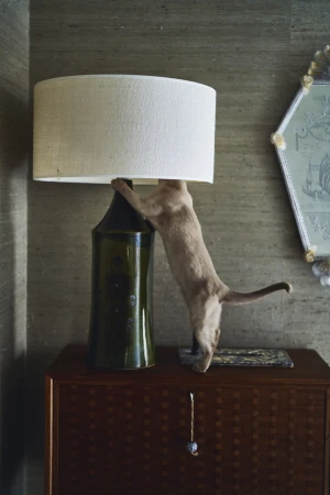 A tan cat climbs on a table lamp with a white shade and green base, situated on a wooden cabinet against a neutral, textured wall.