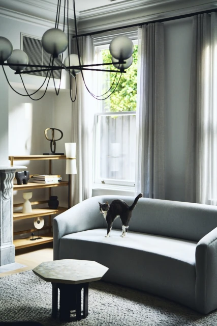 Interior view of a living room with a grey sofa, modern light fixture, hexagon table, a cat standing on the sofa, and large windows.