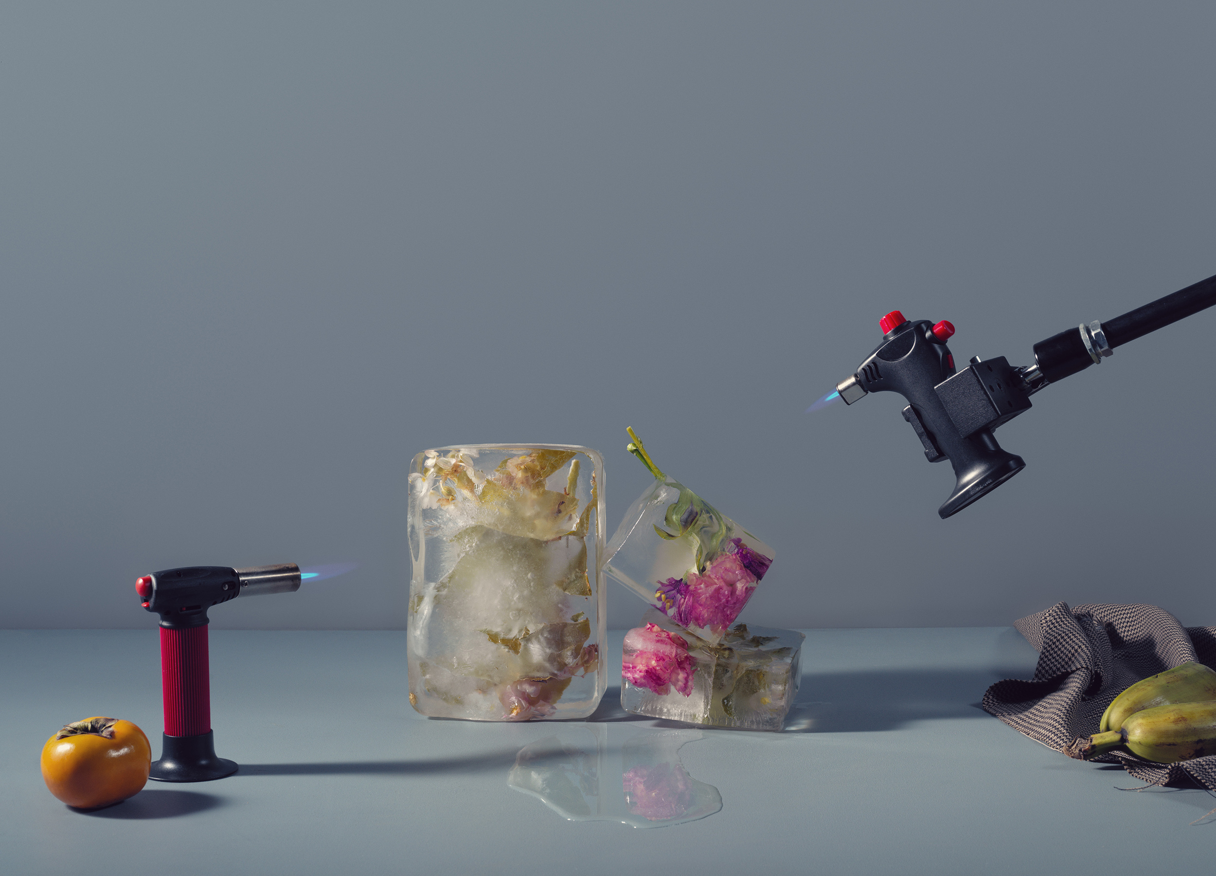 Botanical photography with ice cubes encasing flowers being torched, accompanied by a persimmon and cloth, creating a captivating contrast.