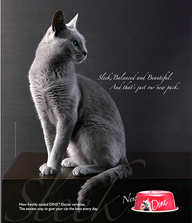 Elegant grey cat sitting on a dark wooden table in a dark setting, beside a red and white cat food bowl, promotional image.