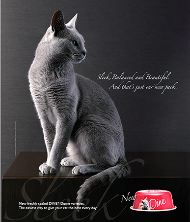 Elegant grey cat sitting on a dark wooden table in a dark setting, beside a red and white cat food bowl, promotional image.