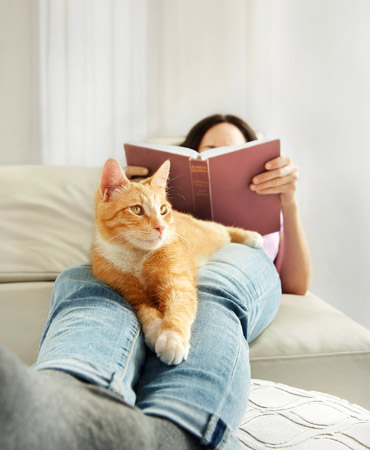 Orange tabby cat lounging on a woman's lap as she reads a book, creating a cozy and serene indoor scene with natural lighting.