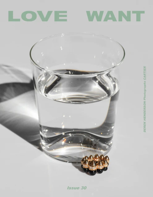Still life magazine cover with a clear glass of water and a gold and black gemstone ring against a light gray background.
