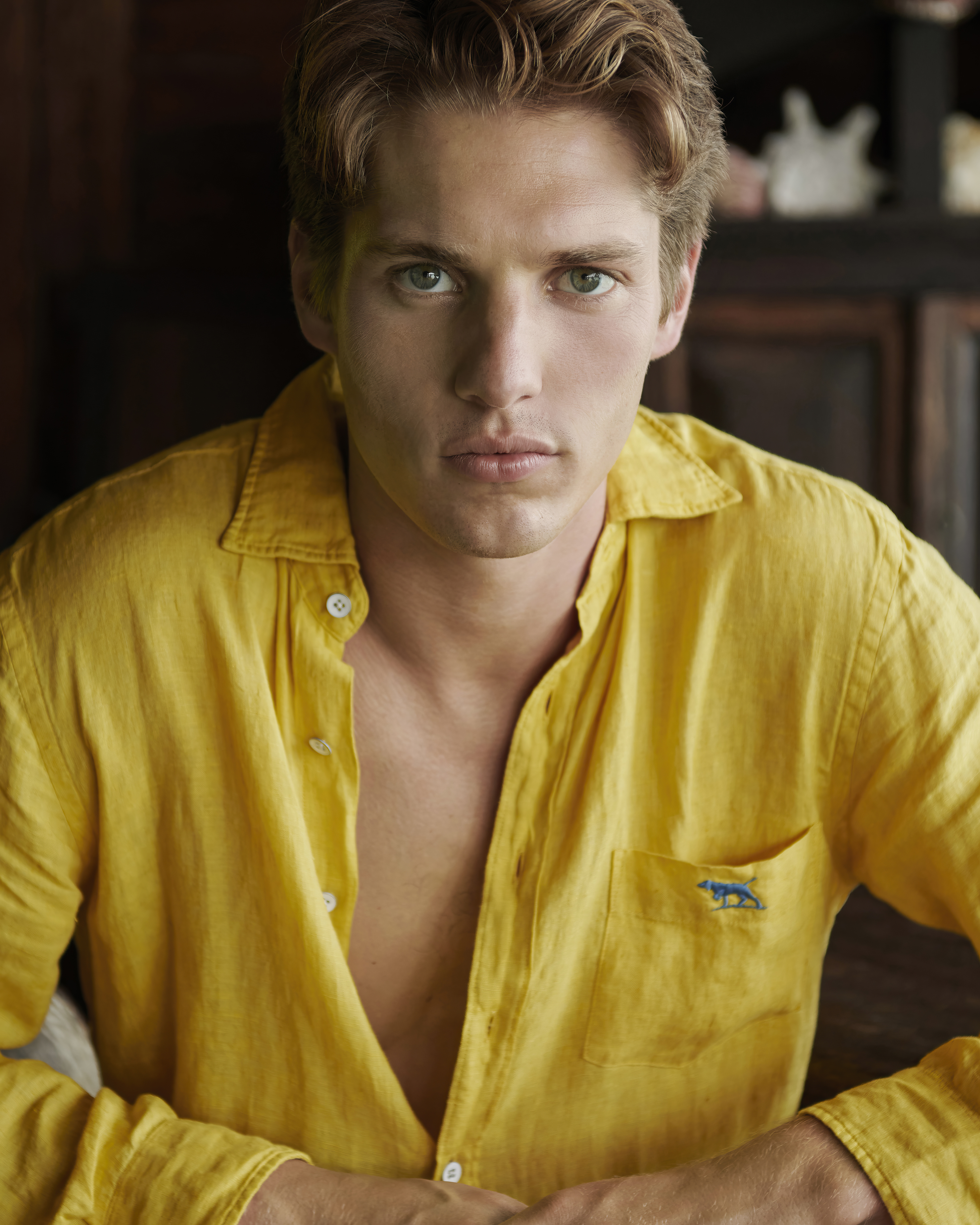 Portrait of a handsome man in a yellow linen shirt, unbuttoned at the top, sitting indoors. Light skin, green eyes, and brown hair.