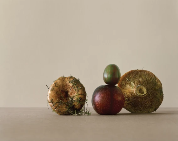 Still life arrangement of fresh mushrooms and dark fruit on a neutral beige surface against a plain background